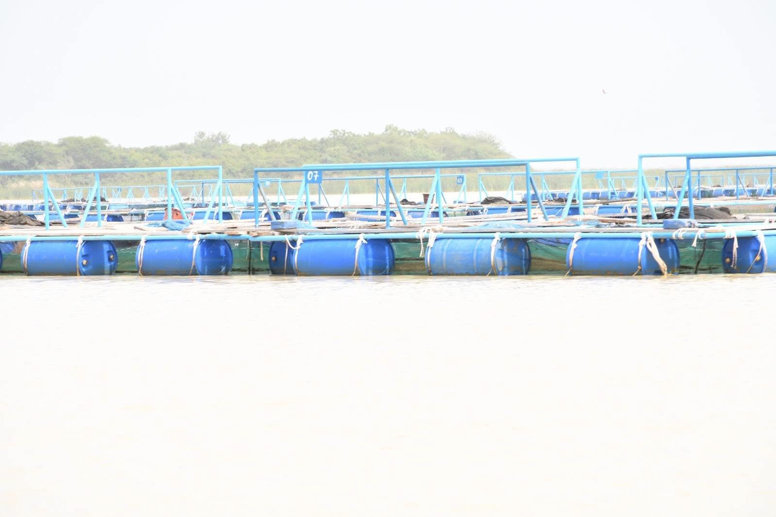 Cages flottantes pour la production piscicole au barrage de Soum au Burkina Faso.
